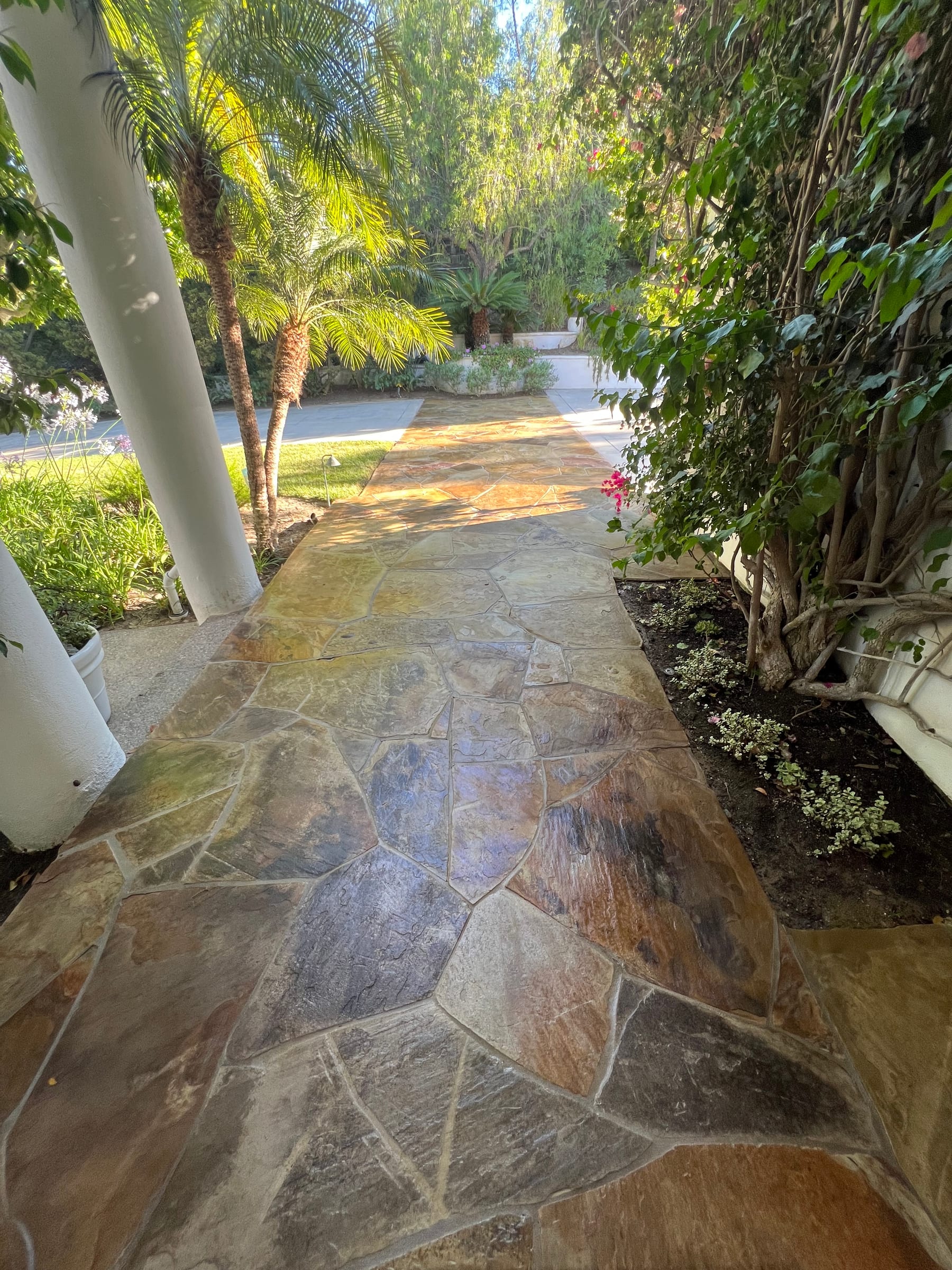Natural stone residential walkway after professional cleaning